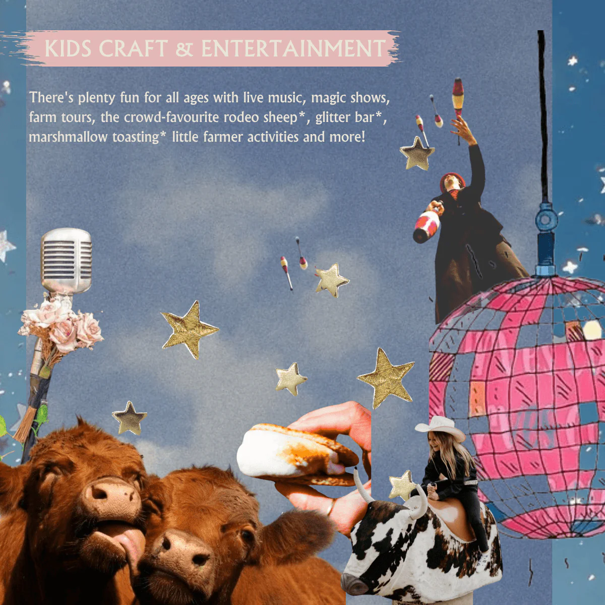 Darts Farm Summer Festival - Image 3
