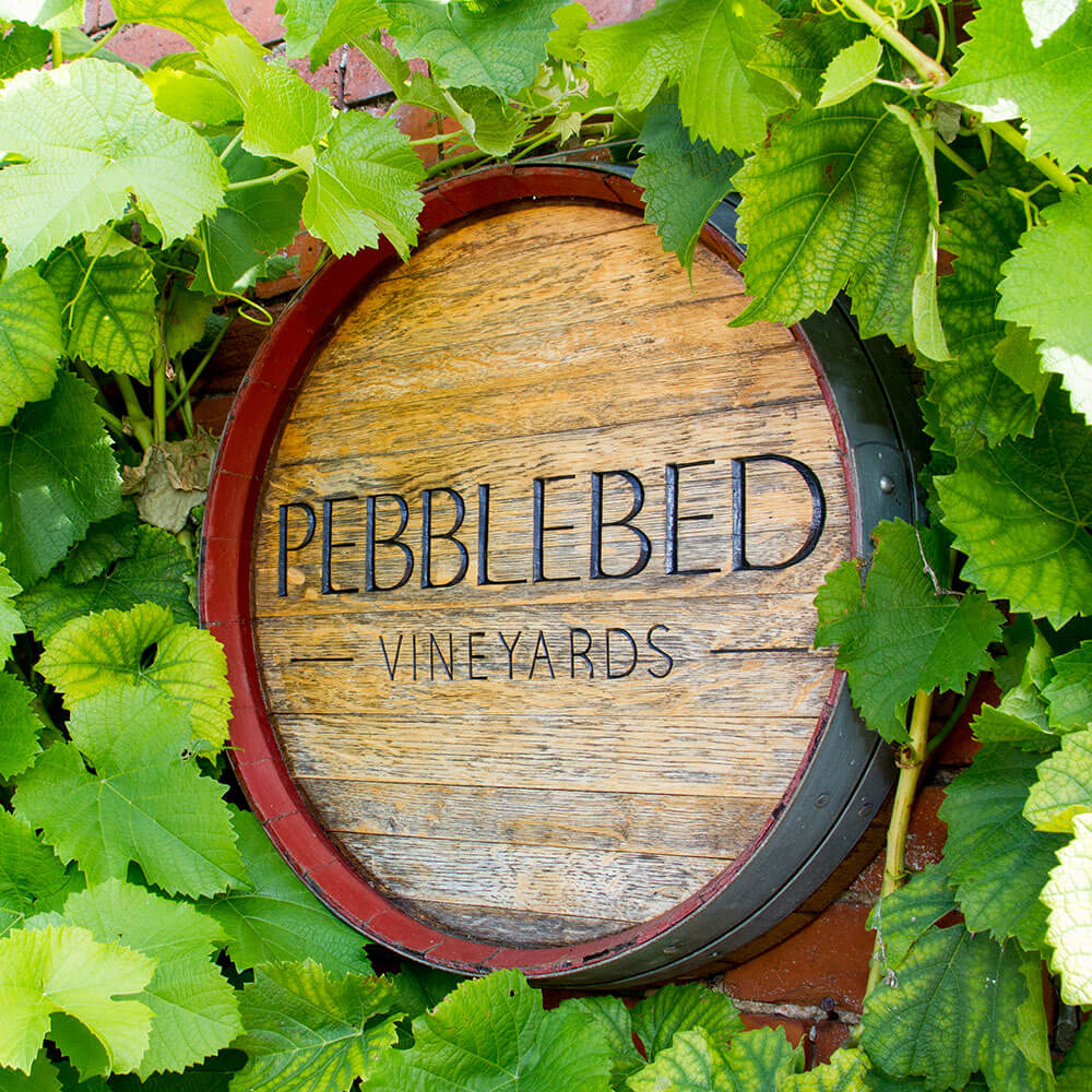 Pebblebed Vineyard Tour & Tasting - 2026 Season - Image 8